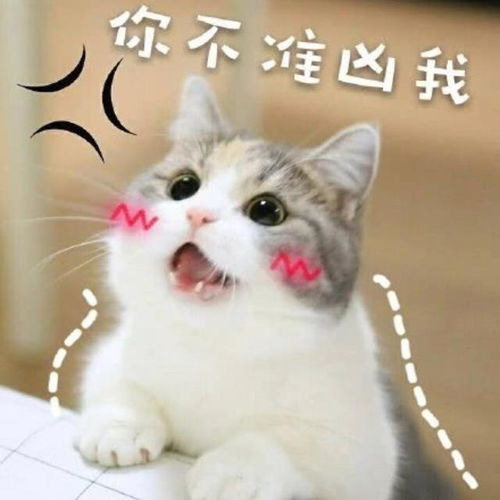 调戏对象必备表情包,可撩可勾引,情侣专用