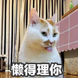 我的表情包去世了搜狐娱乐搜狐网