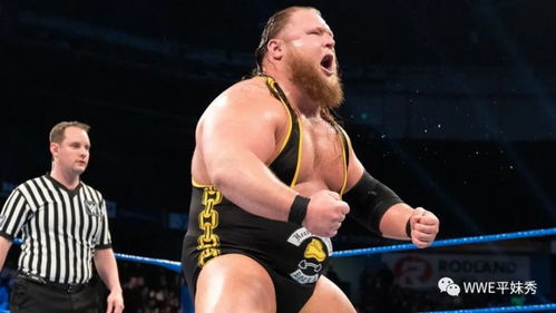 来自摔跤家族,却鲜为人知的五位wwe现役明星,奥蒂斯位列其中