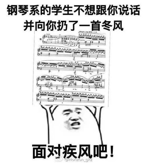 音乐学院表情包大全,斗图必备