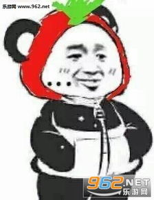 熊猫插兜表情包熊猫插兜穿衣服表情包下载乐游网游戏下载