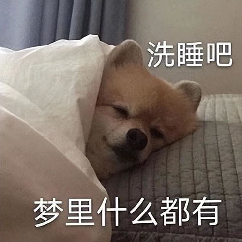 睡不着表情包一套沙雕