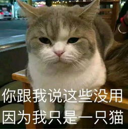 疑似出轨原来是乌龙是洗白还是真情,张丹峰这事你怎么看