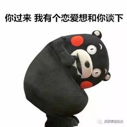 抗痘战士水杨酸