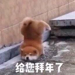 猪年拜年搞笑表情包祝你猪年像头猪