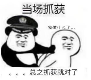 爆笑当场抓获系列表情包我做什么了总之抓获就对了