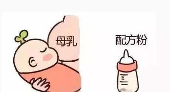 母乳宝宝是否需要补钙铁dha维生素