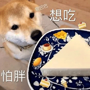 表情包丨向恶势力卖萌