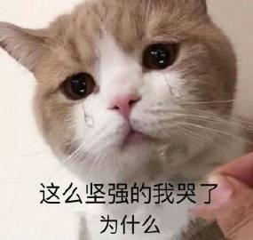 一期有内涵的表情包,你能读懂吗试图挽留假期的我
