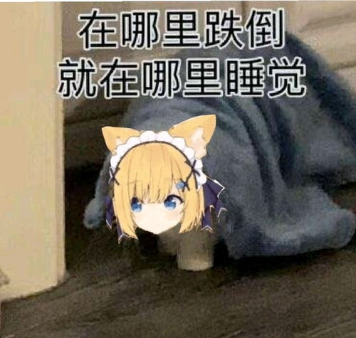 花园猫表情包头像
