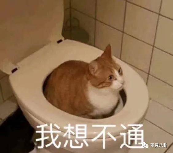 恭喜美女脱离苦海她离婚还真是意料之中啊