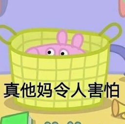 某网红把二级保护动物做成的皮草穿身上,却还打着爱动物的人设来圈粉