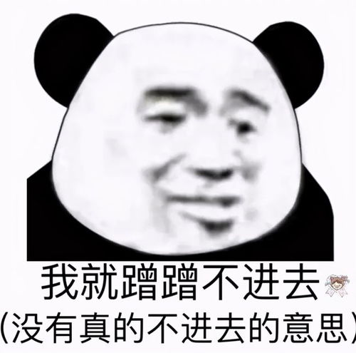 熊猫头表情包我的家庭条件根本支持不了我过冬