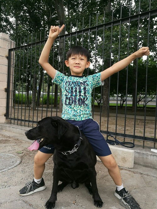 娱乐圈中一对恩爱夫妻,杨志刚爱妻如命,妻子对受伤丈夫不离不弃