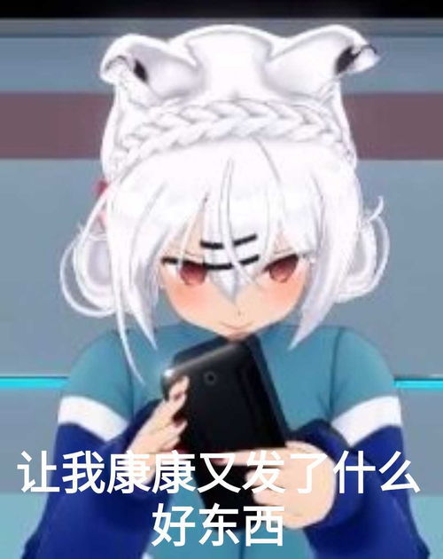神宫司玉藻表情包