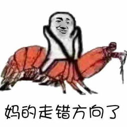 皮皮猪最新表情包下载皮皮猪我们走表情包下载高清无水印腾牛下载