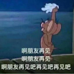 黄皮耗子表情包表情包