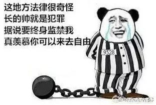 不翻墙高清无码.jpg司考备考专用,你懂得