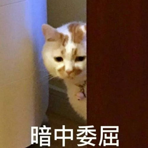可怕现在的00后都用什么化妆品...看完瑟瑟发抖