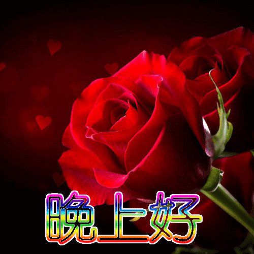 2020最新晚上好问候动态表情包朋友圈晚安问候语温馨图片带字