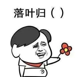 考完准备表白结果怂了表情包分享高清无水印表情包大全