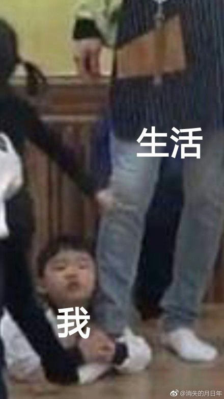 最全生活与我表情包合集,是谁把我摁在光滑的地上摩擦