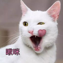 延禧攻略的尔晴还不够坏