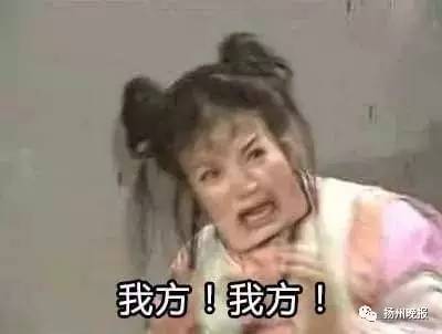 大半夜笑出猪声表情包猪猪