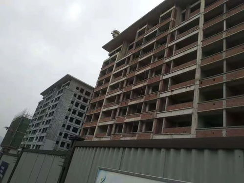 表情包520也算个节欲哭无泪