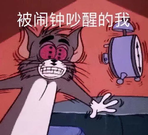 看看研友们几点起床,来看你需要调整不