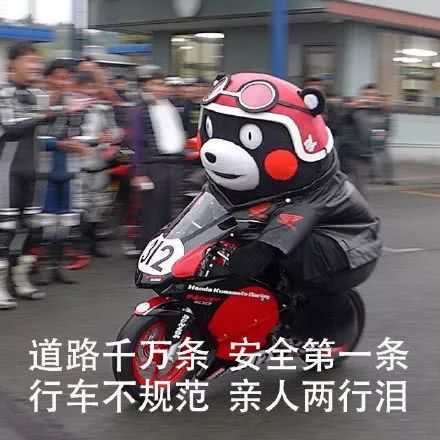 钓鱼人的那些悲剧时刻其实我只想好好钓个鱼
