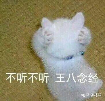 王八家族表情包图片大全念经