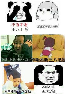不听不听王八念经梗表情包不听不听王八念经表情包大全高清无水印极光下载站