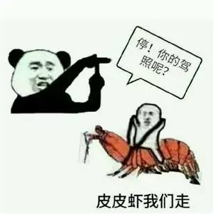 皮皮虾,我们走过了个年,皮皮虾火了