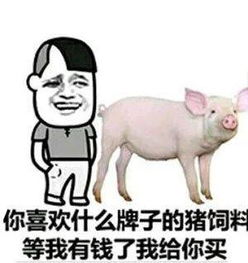 超皮聊天表情包有钱,我就给你买猪饲料
