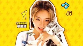 小潘潘的喵系生活来袭,vlog将成为短视频的下个风口