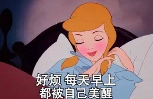 元歌表情包第三期猪精