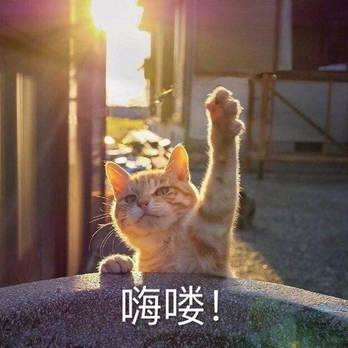 一整个被你打败了啦