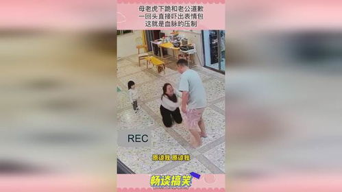 跪下认错表情包童鞋