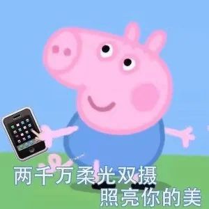 如何模仿王老吉脑白金oppo的品牌口号记住这5个步骤11个要点消费者