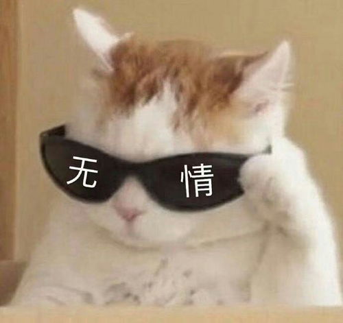 可怜图片大全表情包沙雕