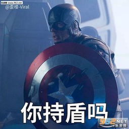 复联3你持盾吗非常持盾表情包叫霸霸表情包下载乐游网游戏下载