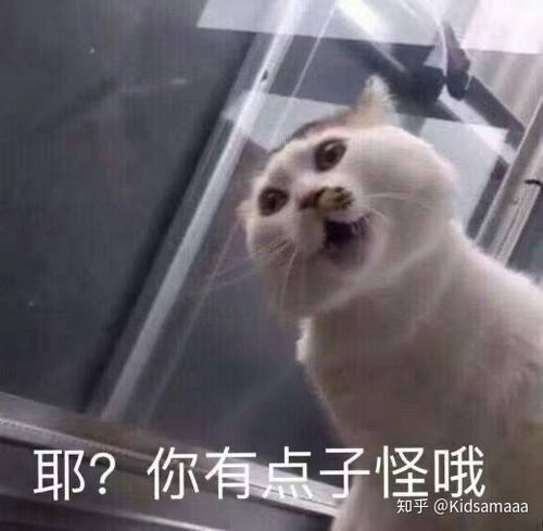 纯情丫头火辣辣真的不好看吗