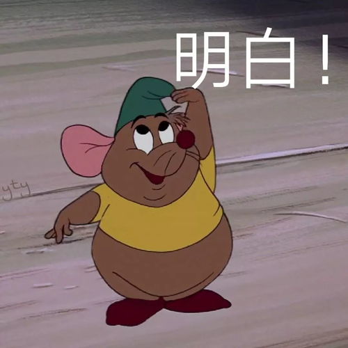 找我聊天是假的吧,想偷我表情包到是真的