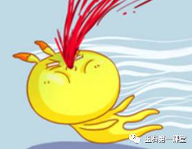 翡翠公盘现1亿多标王又要涨涨涨