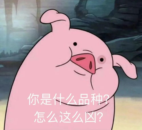 肖战许凯任嘉伦鞠婧祎那些依赖配音的演员,能夸演技吗