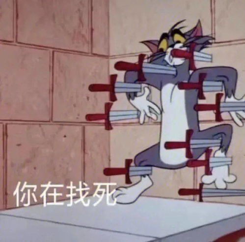表情包前路漫漫万物都别期待