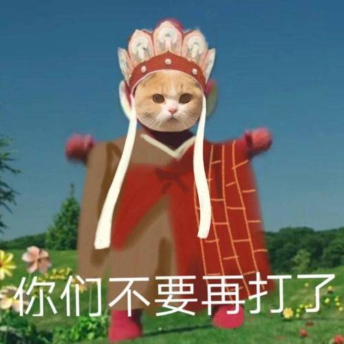英专生的英语水平在哪个瞬间被曝光
