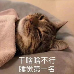 师大生活丨研究生一天的日常原来是这样的
