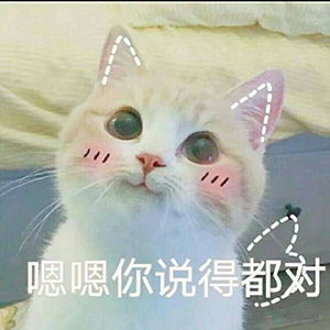 猫咪撒娇表情图片撒娇的猫咪太撩人了